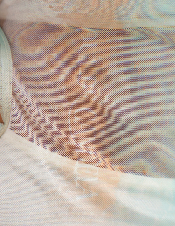 BAHIA ISLA - Image 3